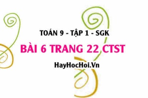 Bài 6 trang 22 Toán 9 tập 1 Chân trời sáng tạo SGK